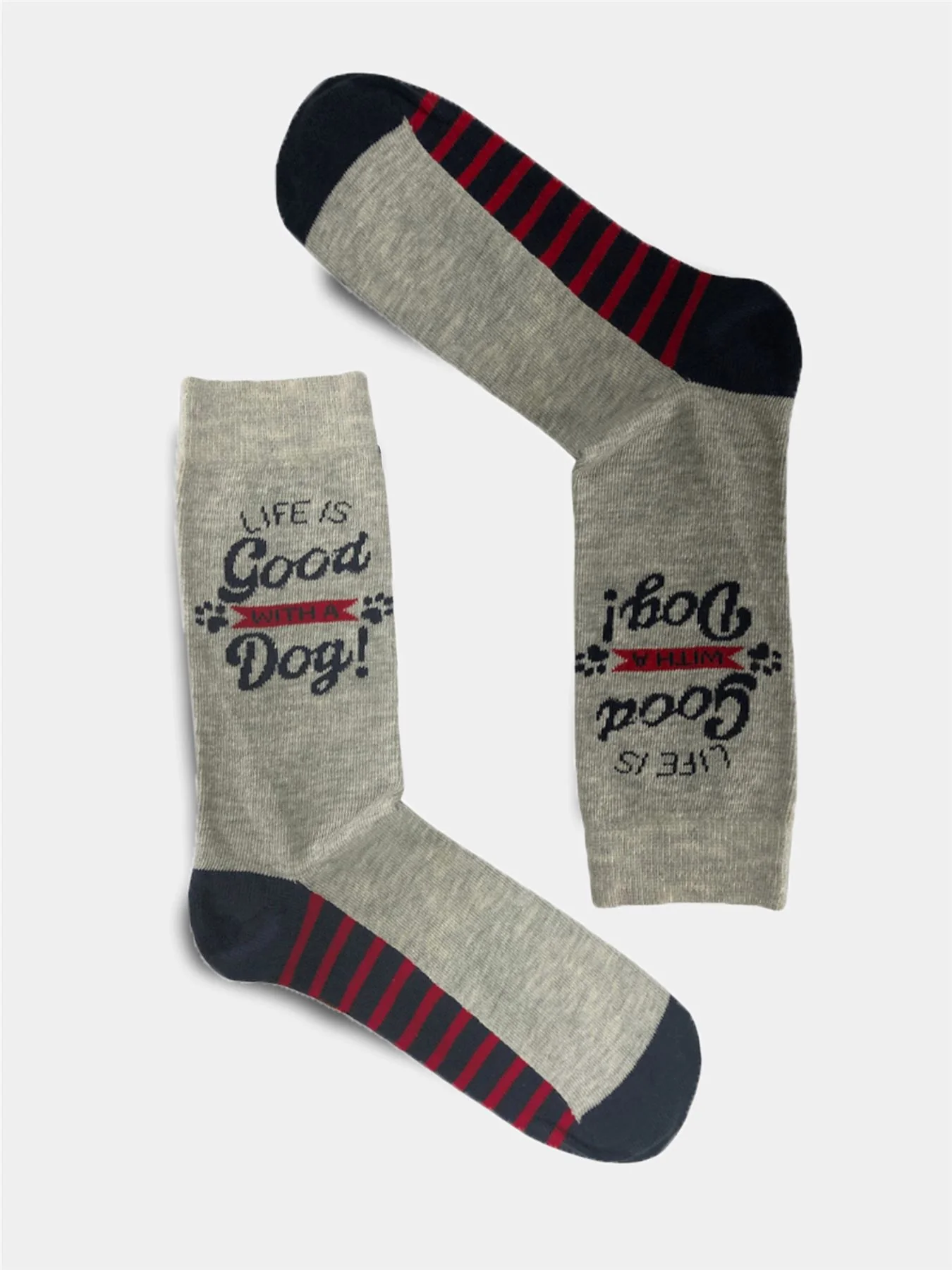 Boxt Socks Mens 4 Pack Dog House Gift Set - Image 4