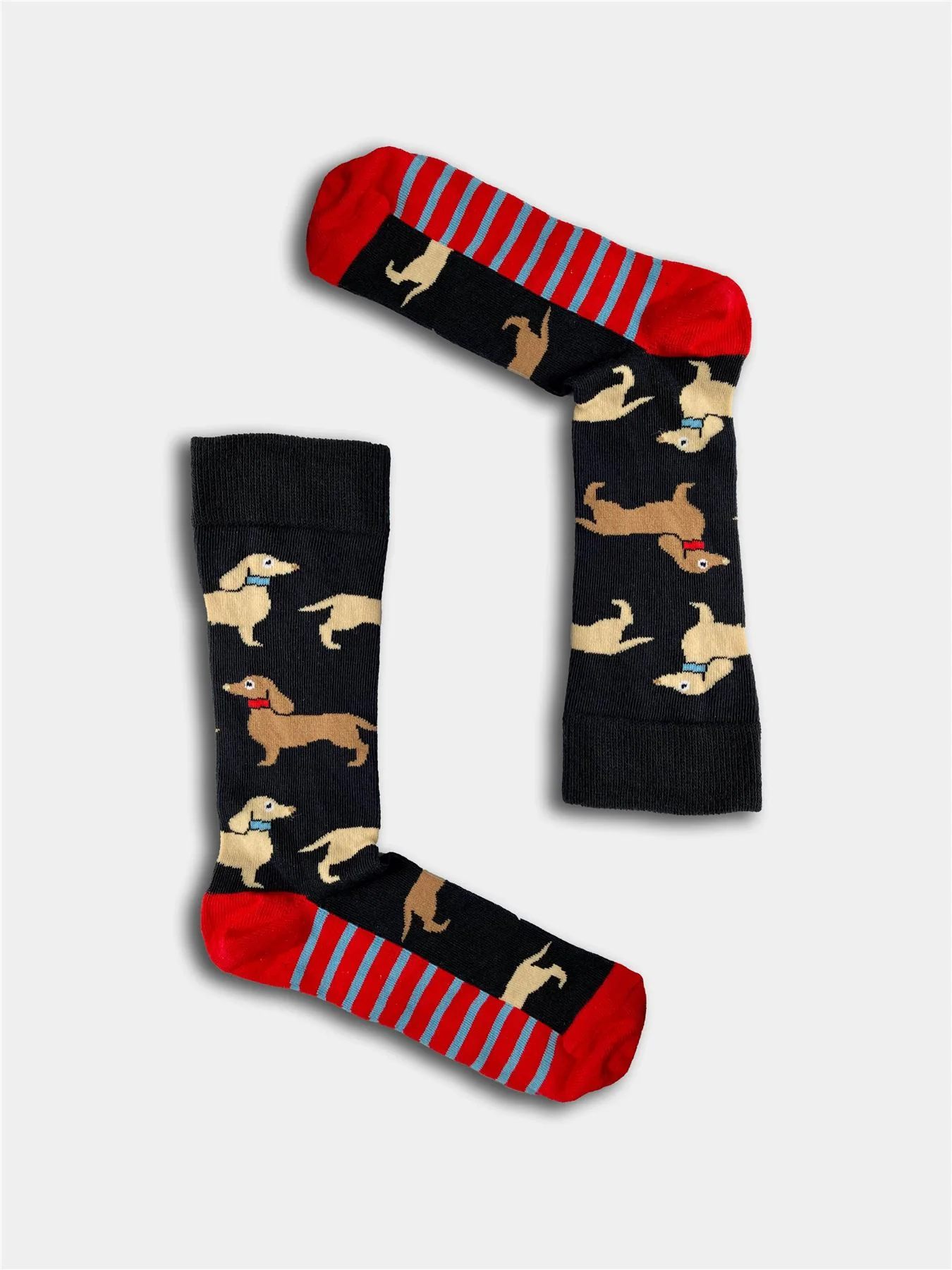 Boxt Socks Mens 4 Pack Dog House Gift Set - Image 5