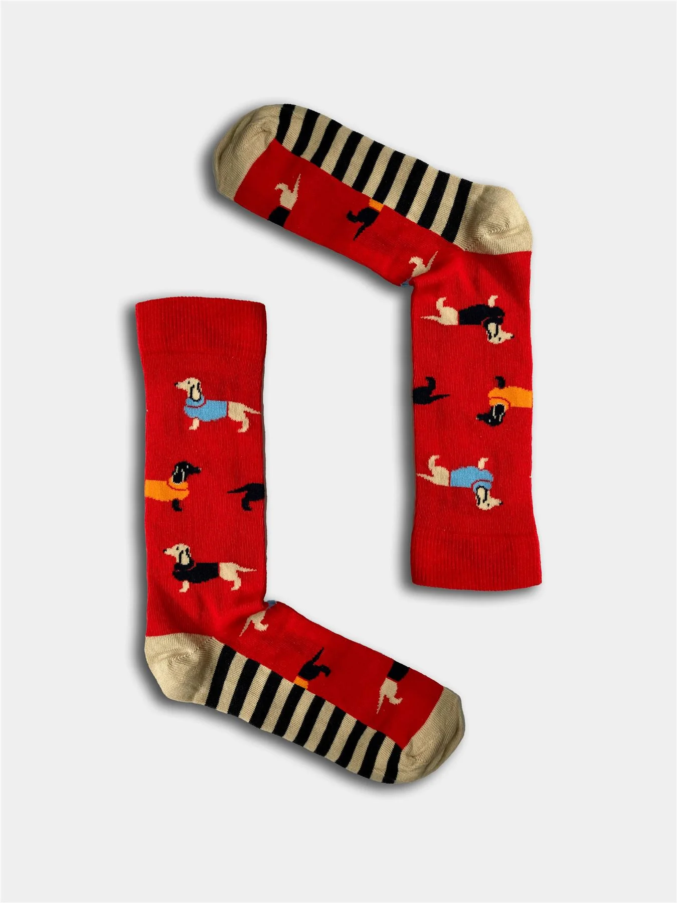 Boxt Socks Mens 4 Pack Dog House Gift Set - Image 6